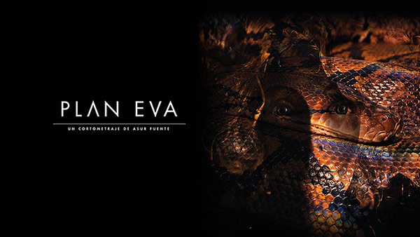 Plan Eva case image by almostDesign